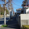 IMGP3199