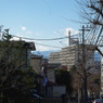 IMGP3201