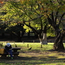 公園の人々－１