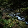 trekking