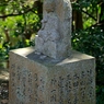 DSC02271