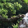 DSC02300