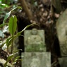 DSC02403