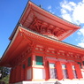 檀上伽藍根本大塔