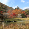 秋を探して2014@古峯神社_15