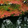 Color which spreads on the water surface