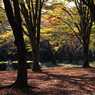 公園の人々－５