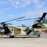 入間航空祭（61）Kawasaki CH-47J/LR　