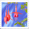 花切手＜2014-47＞＊フクシア