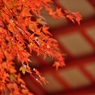 那谷寺の紅葉 (4)