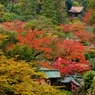 那谷寺の紅葉 (5)