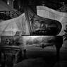 Golden Steinway　Ⅱ