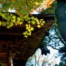 那谷寺の紅葉7