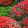 那谷寺の紅葉16