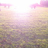 DSC00103