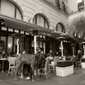 Irish Dog's Cafe