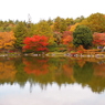 昭和記念公園 2014/11/16