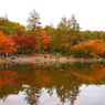 昭和記念公園 2014/11/16