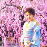 滝桜