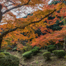西渓公園-4