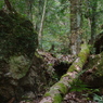 IMGP4734