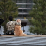 言葉は無くても