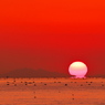 秋の播磨灘の沈む夕日１５