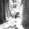 神社と少女
