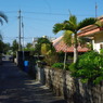 IMGP0447