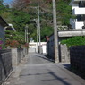IMGP0459