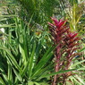 IMGP0470