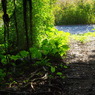 IMGP0482