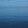 IMGP0598
