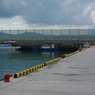 IMGP0607