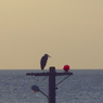 海もん