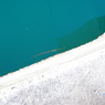IMGP0677