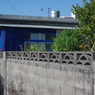 IMGP0467