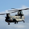 入間航空祭（81）Kawasaki CH-47J/LR　
