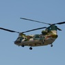 入間航空祭（82）Kawasaki CH-47J/LR　　