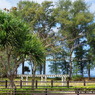 IMGP0931