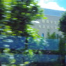 IMGP0994