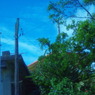 IMGP0964