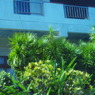IMGP0965