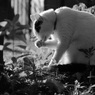 秋晴れの木陰にて