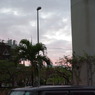 IMGP1115