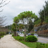 IMGP1185