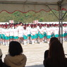 IMGP2434