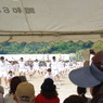 IMGP2460