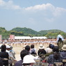 IMGP2541