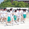 IMGP2549